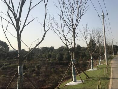 xh6388新濠天地·(中国区)有限公司官网